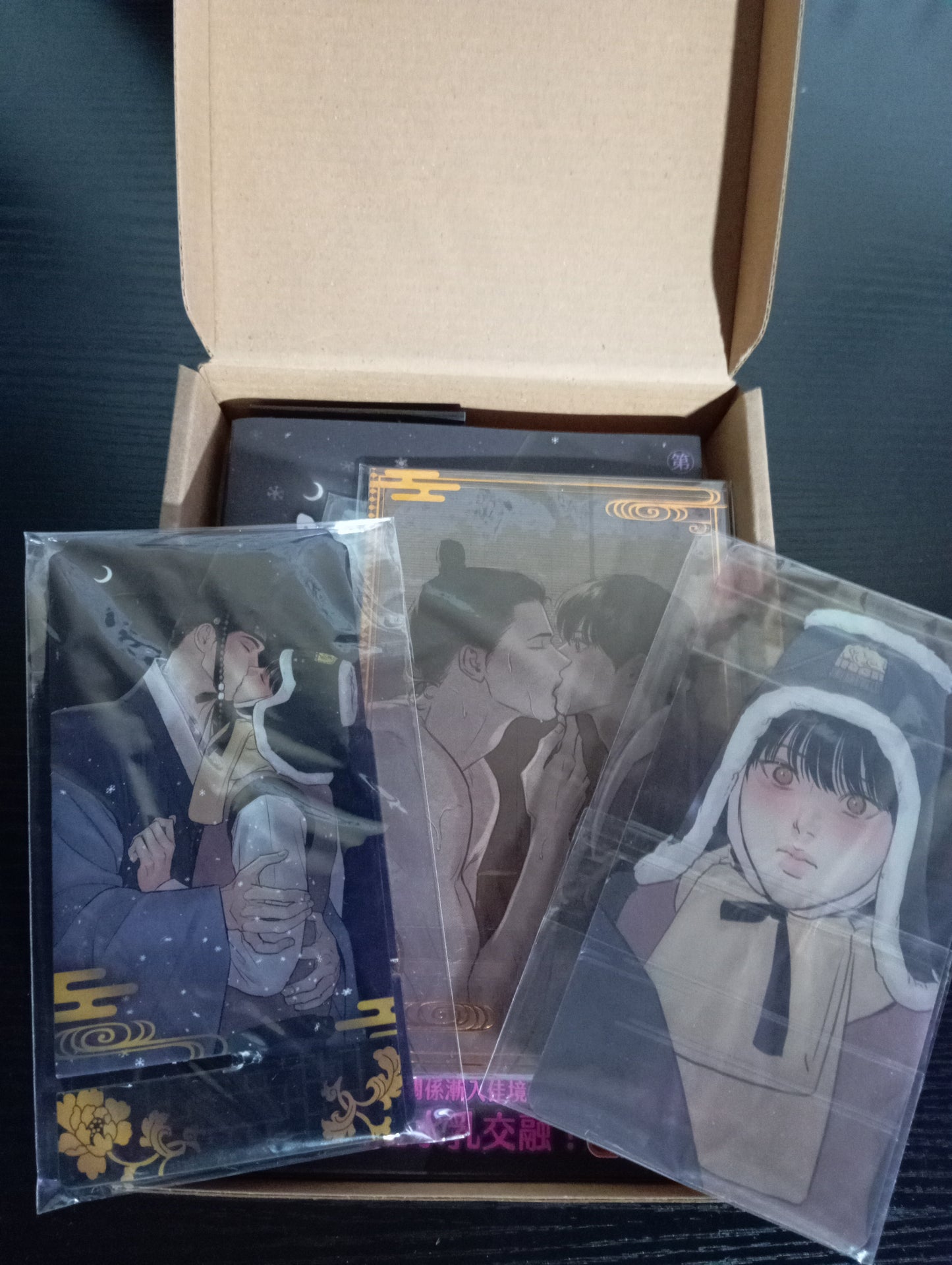 Painter of the Night Vol. 6 - Limited Collector's Edition (Taiwan) (GEBRAUCHT)