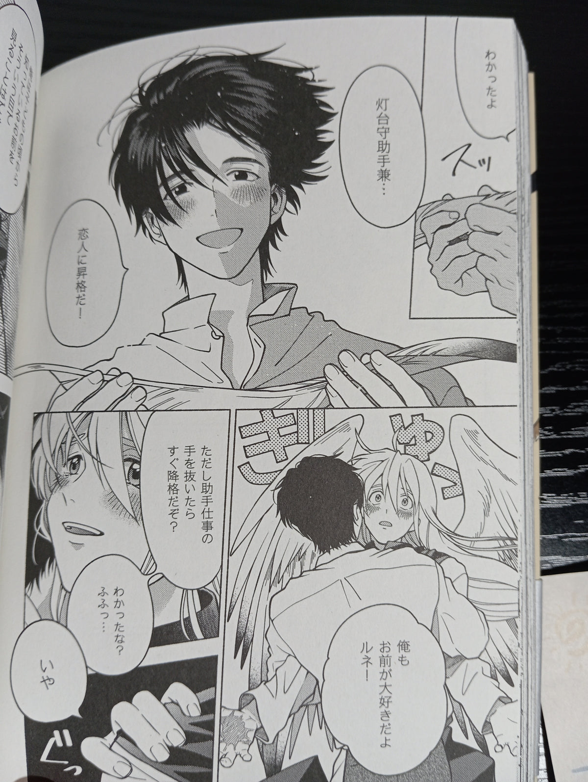 Toudaimori to Kamome no Ko (MANGA BL) – KOMPLETT-PACK BAND 01 UND 02 (GEBRAUCHT)