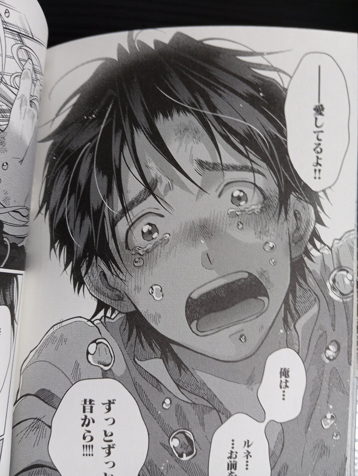 Toudaimori to Kamome no Ko (MANGA BL) – KOMPLETT-PACK BAND 01 UND 02 (GEBRAUCHT)