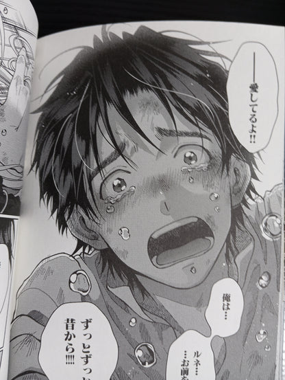 Toudaimori to Kamome no Ko (MANGA BL) – KOMPLETT-PACK BAND 01 UND 02 (GEBRAUCHT)