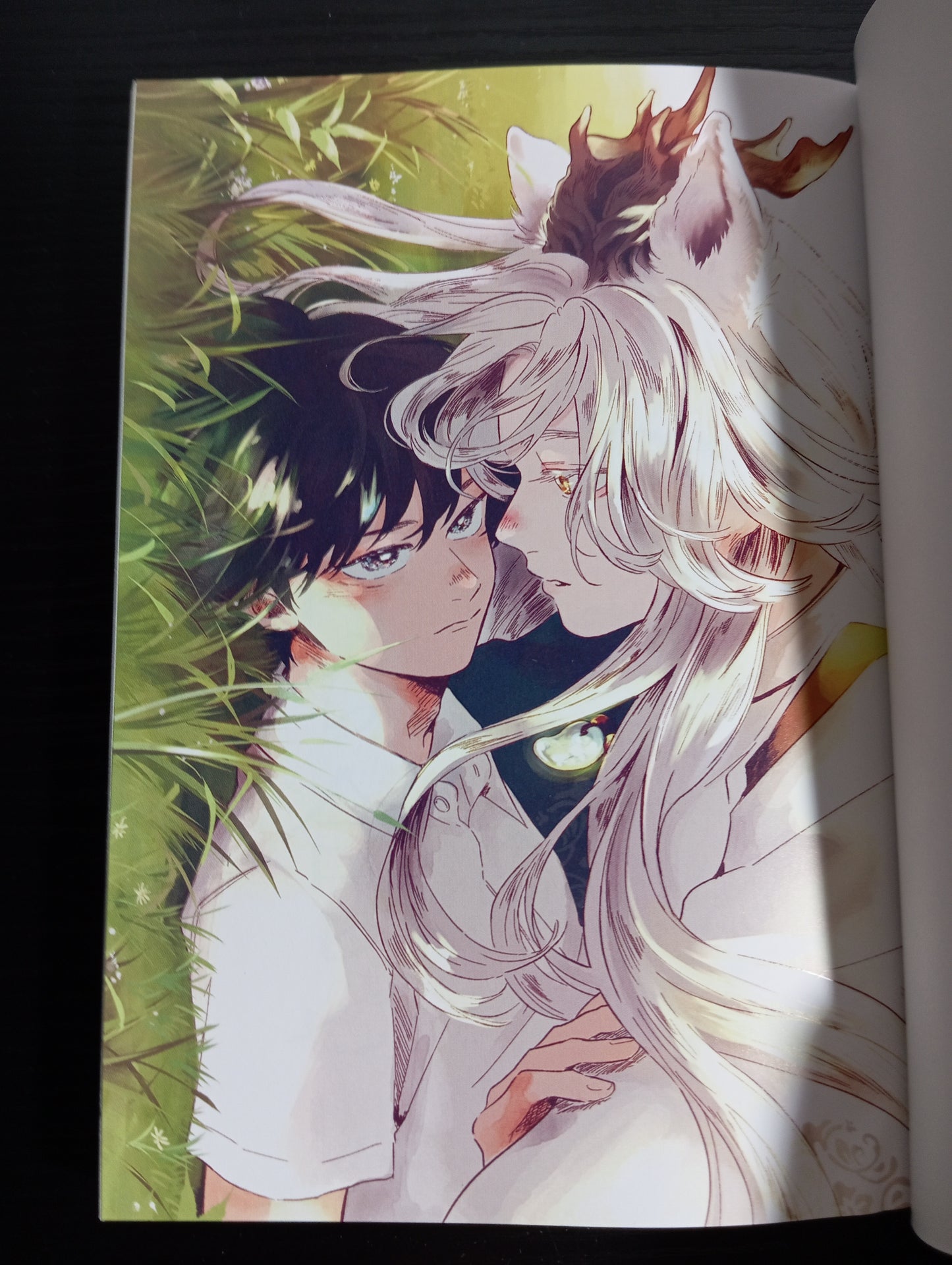 Gogo no Midori de Machiawase (MANGA BL) - COMPLETO TOMO UNICO (SEGUNDA MANO)