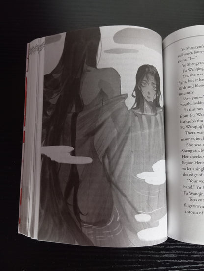 THE BEAUTY'S BLADE (BAIHE NOVEL) - SINGLE VOLUME (USED)