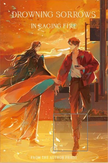 DROWNING SORROWS IN RAGING FIRE (NOVELLE) BD 01 ROSMEI (MIT GESCHENKEN)
